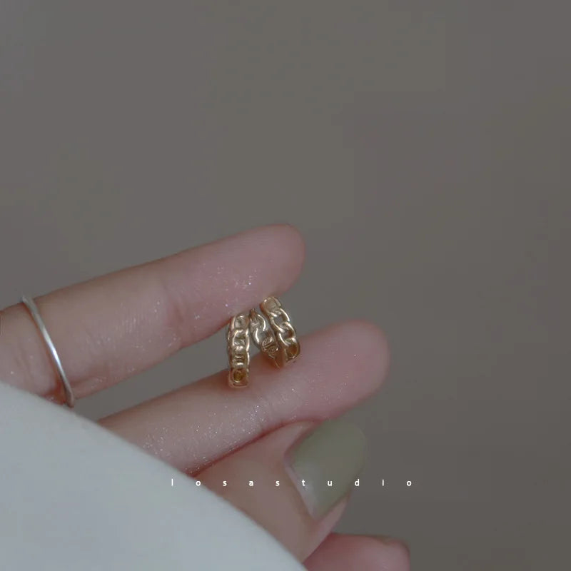 925 Sterling Silver Earrings Fashionable New Style for Women Elegant Niche High End Simple and Plain Ear Ornaments